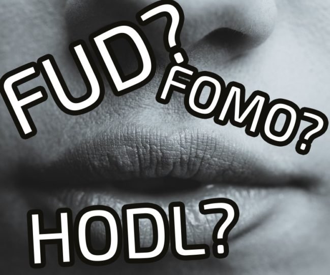 What is FUD, HODL or FOMO in Cryptocurrency Lingo? Find out more here