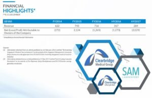 clearbridge financial highlights