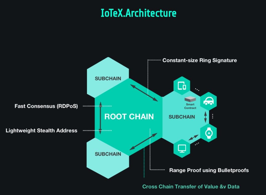 iotex ico review