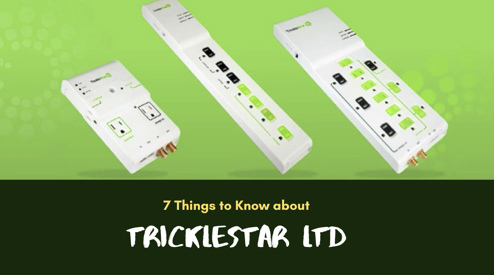 Tricklestar IPO 7 Things You Need to Know about It SmallCapAsia