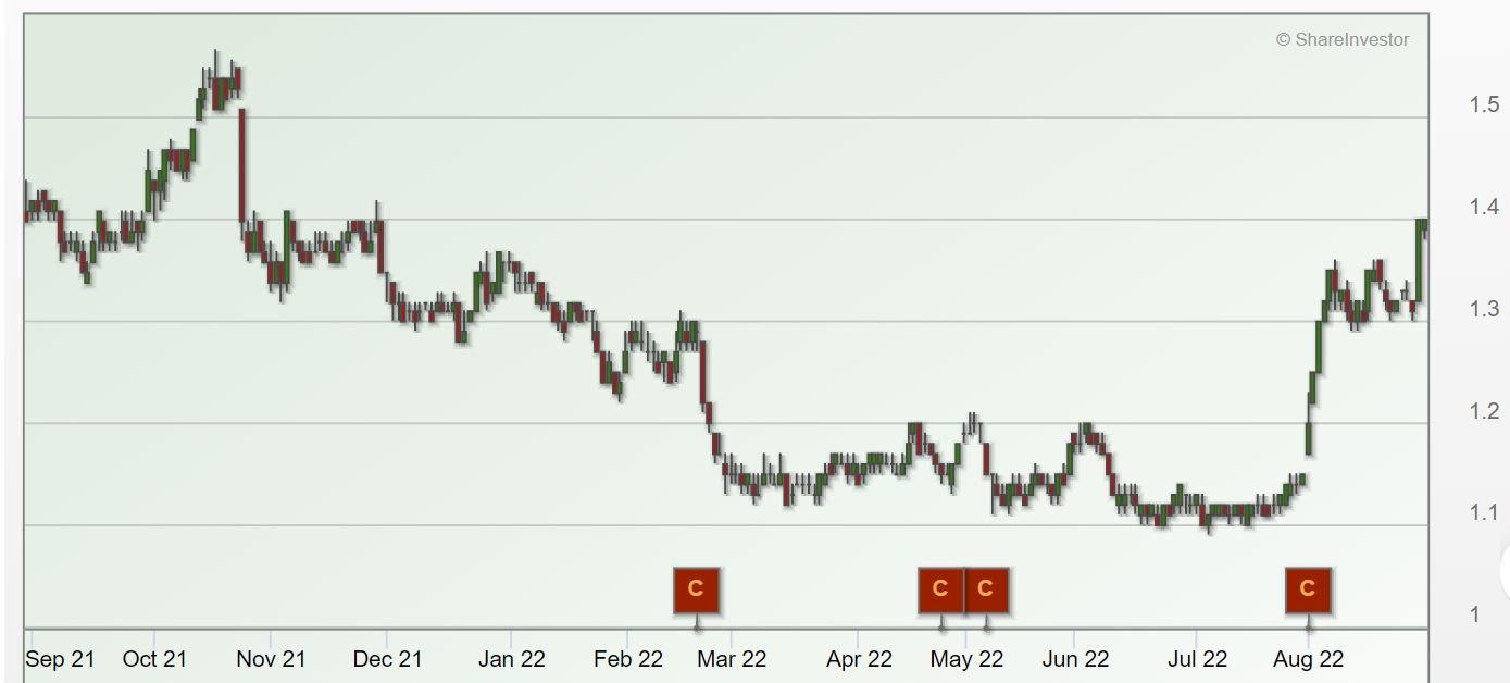 Raffles Medical Group share price chart