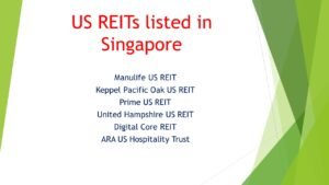 Beaten up US REITs