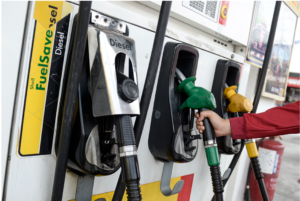 stocks targeted petrol subsidies