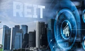 3 REITs