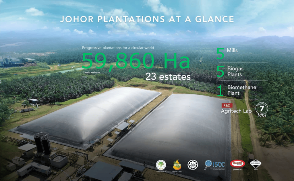Johor Plantations Group Bhd: 9 Things Investors Need to Know