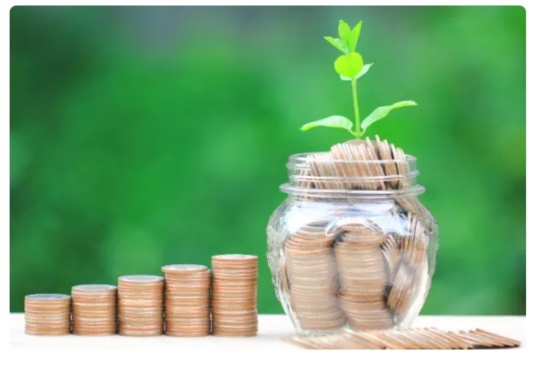 4 Blue Chip Singapore Stocks for Beginners to Get Started